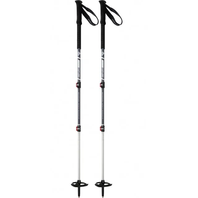 Dynalock Explore Backcountry Poles