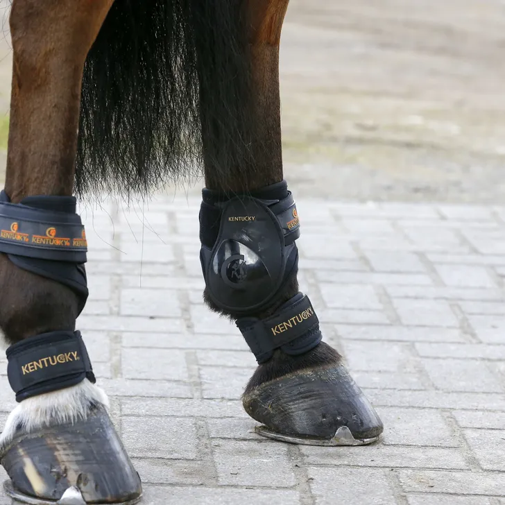 Pastern Wrap